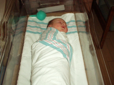 Sleeping peacefully 