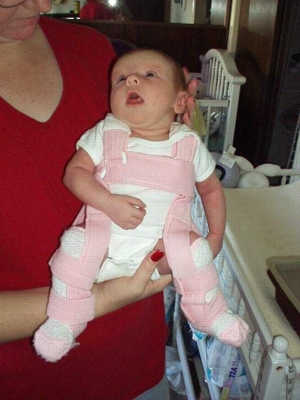 Harness